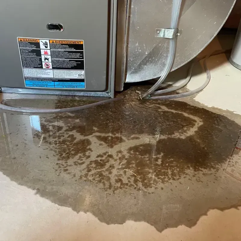 Appliance Leak Cleanup in Lionville, PA